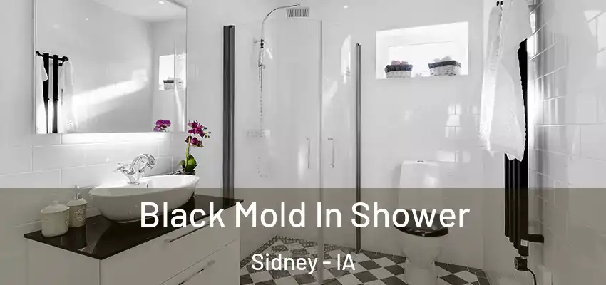  Black Mold In Shower Sidney - IA