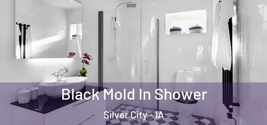  Black Mold In Shower Silver City - IA