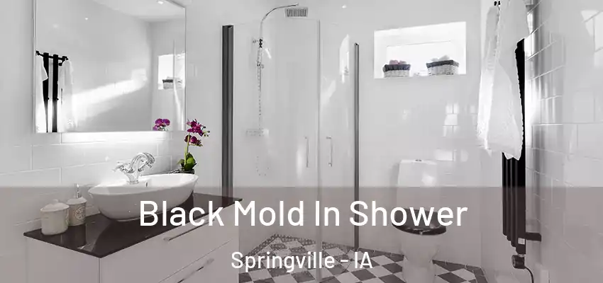  Black Mold In Shower Springville - IA