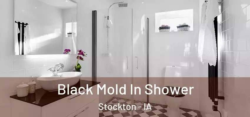 Black Mold In Shower Stockton - IA