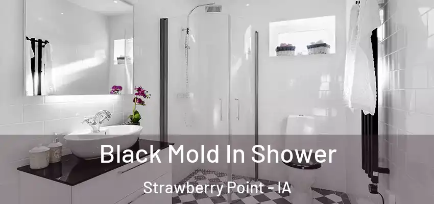 Black Mold In Shower Strawberry Point - IA