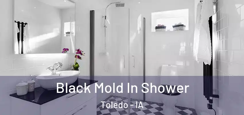 Black Mold In Shower Toledo - IA