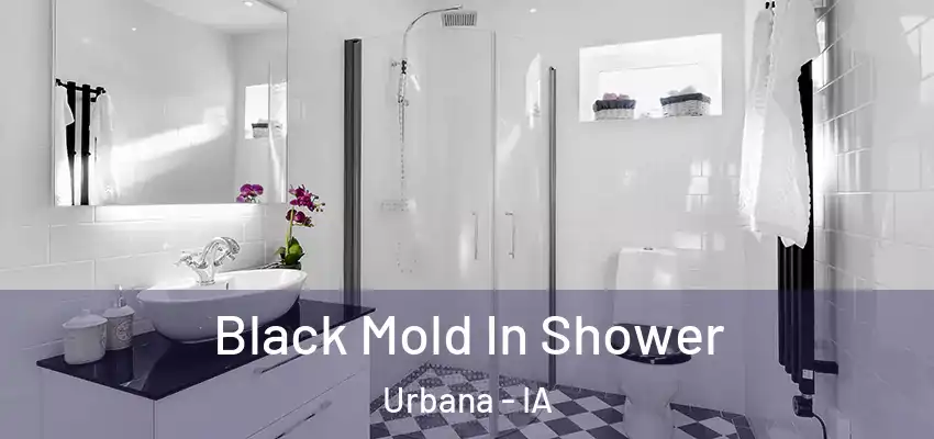 Black Mold In Shower Urbana - IA