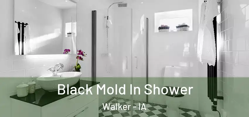  Black Mold In Shower Walker - IA