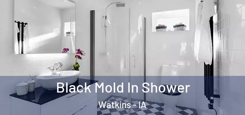 Black Mold In Shower Watkins - IA