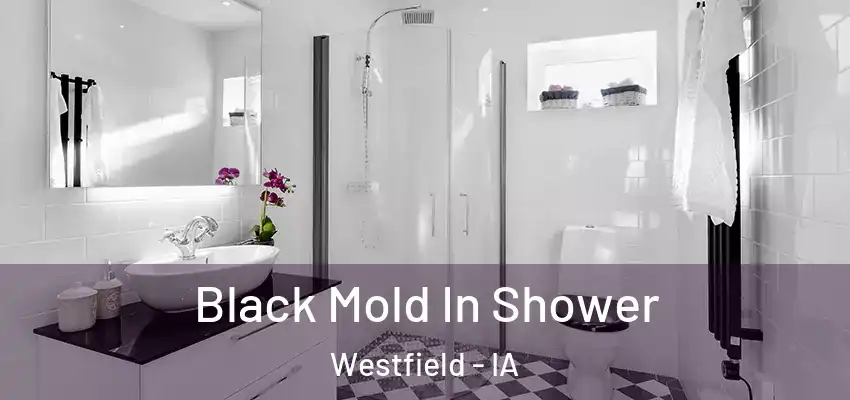  Black Mold In Shower Westfield - IA