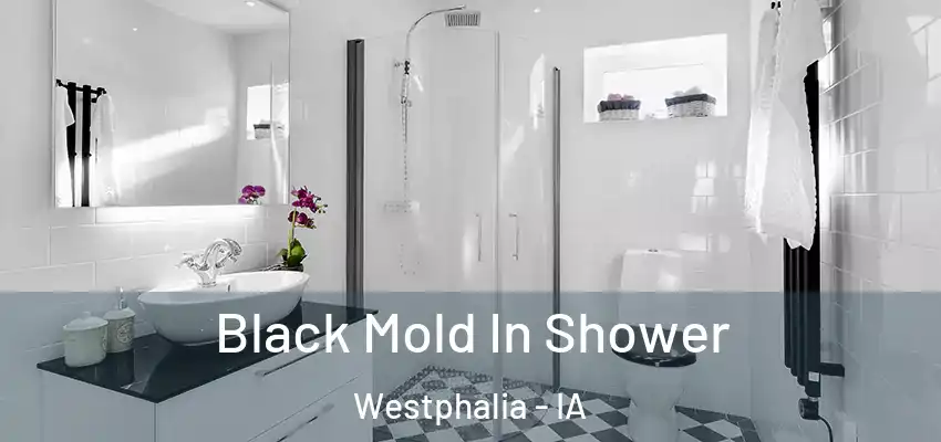 Black Mold In Shower Westphalia - IA