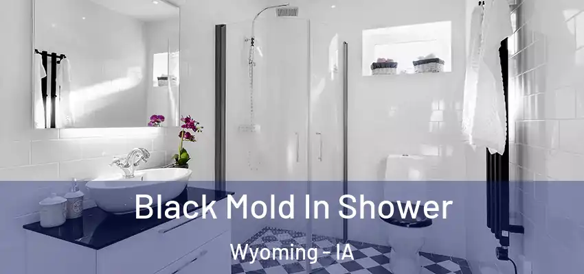 Black Mold In Shower Wyoming - IA