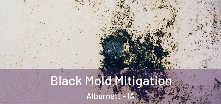 Black Mold Mitigation Alburnett - IA