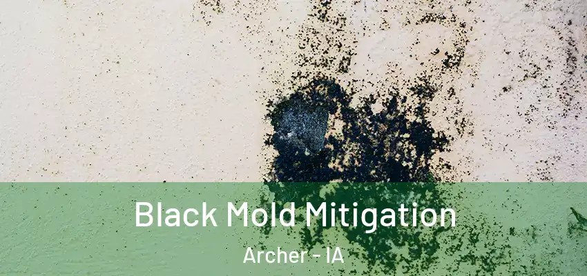 Black Mold Mitigation Archer - IA