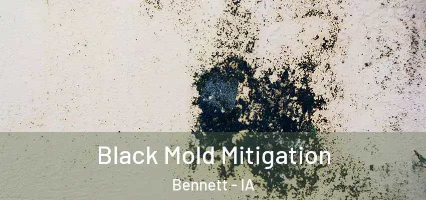  Black Mold Mitigation Bennett - IA