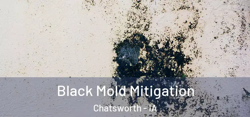Black Mold Mitigation Chatsworth - IA