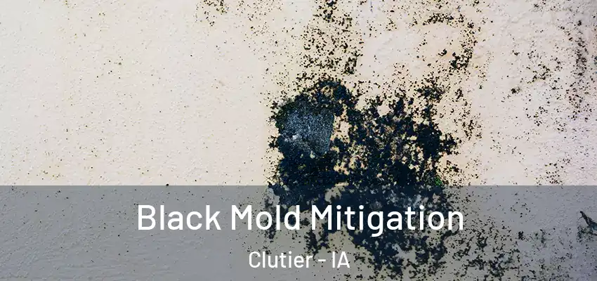 Black Mold Mitigation Clutier - IA