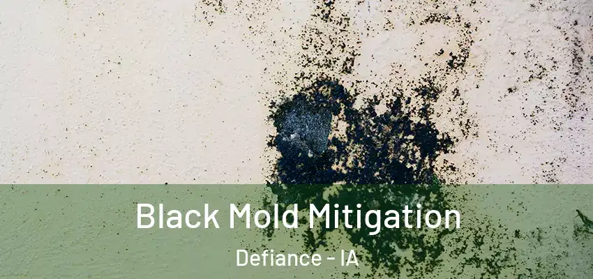 Black Mold Mitigation Defiance - IA