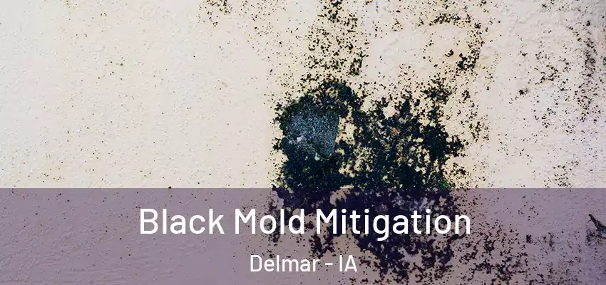 Black Mold Mitigation Delmar - IA