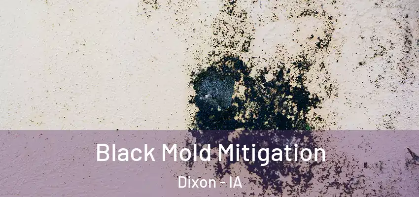 Black Mold Mitigation Dixon - IA