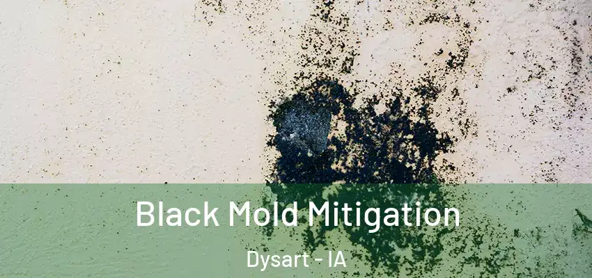  Black Mold Mitigation Dysart - IA