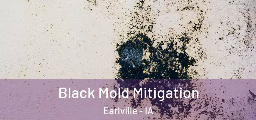  Black Mold Mitigation Earlville - IA