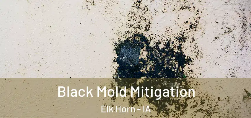  Black Mold Mitigation Elk Horn - IA