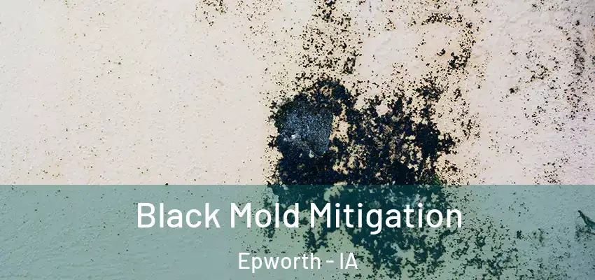 Black Mold Mitigation Epworth - IA