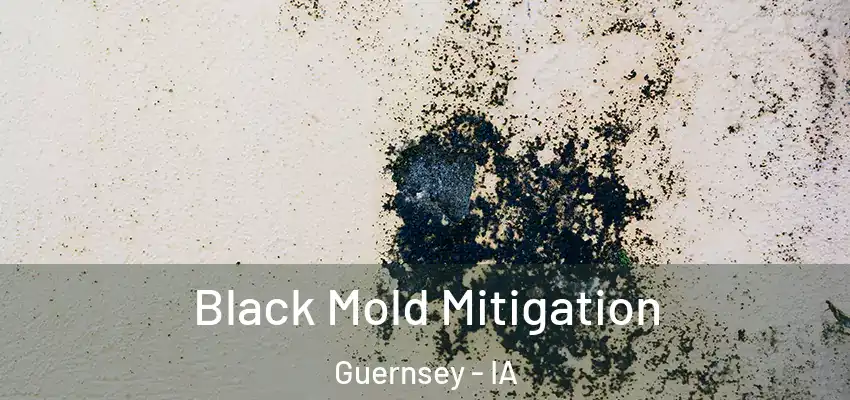 Black Mold Mitigation Guernsey - IA