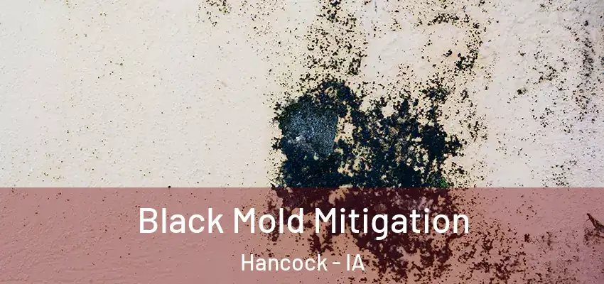  Black Mold Mitigation Hancock - IA