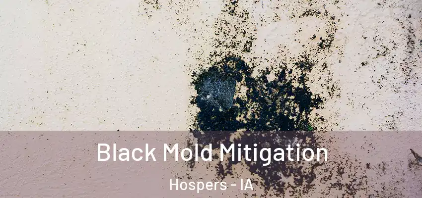 Black Mold Mitigation Hospers - IA