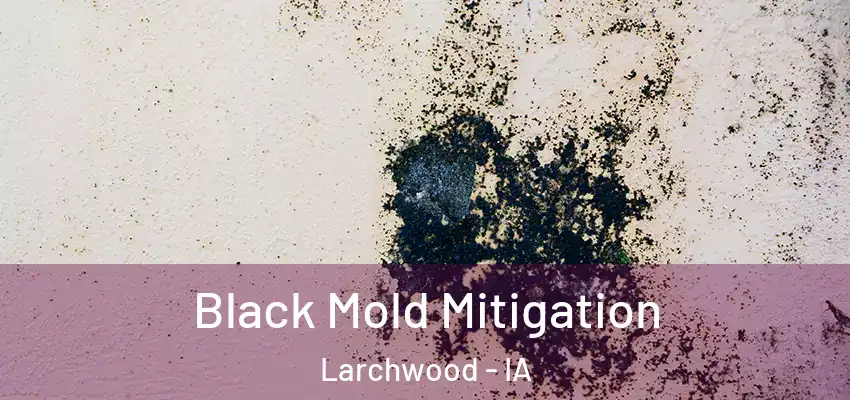 Black Mold Mitigation Larchwood - IA