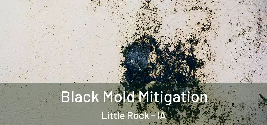  Black Mold Mitigation Little Rock - IA