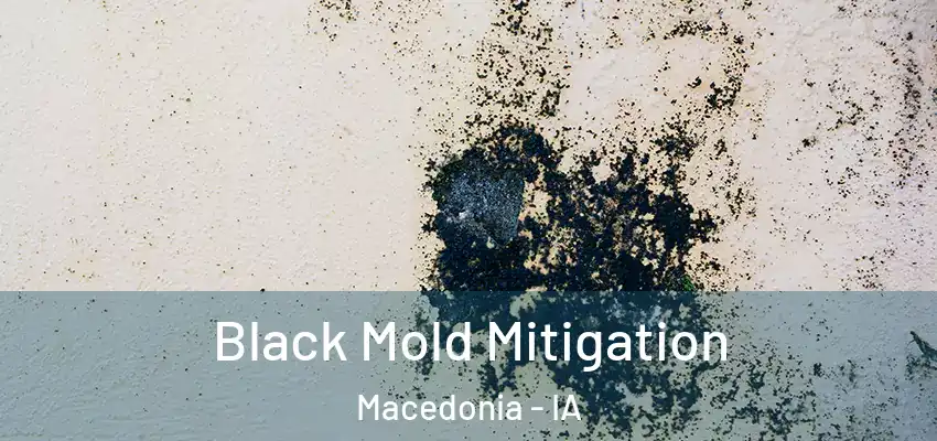 Black Mold Mitigation Macedonia - IA