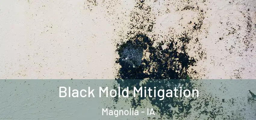 Black Mold Mitigation Magnolia - IA