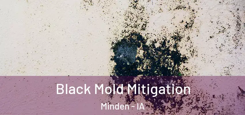  Black Mold Mitigation Minden - IA