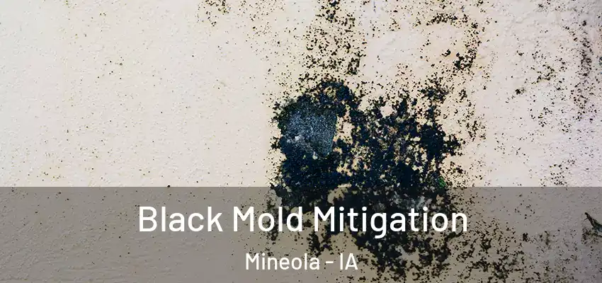 Black Mold Mitigation Mineola - IA