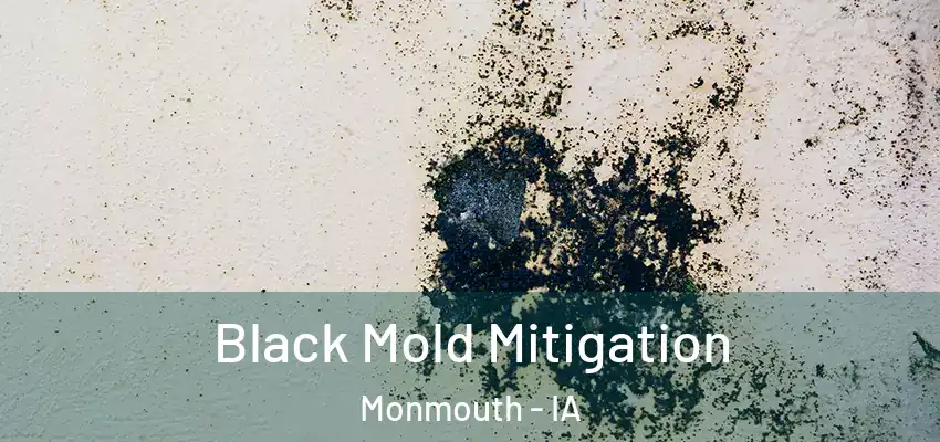 Black Mold Mitigation Monmouth - IA