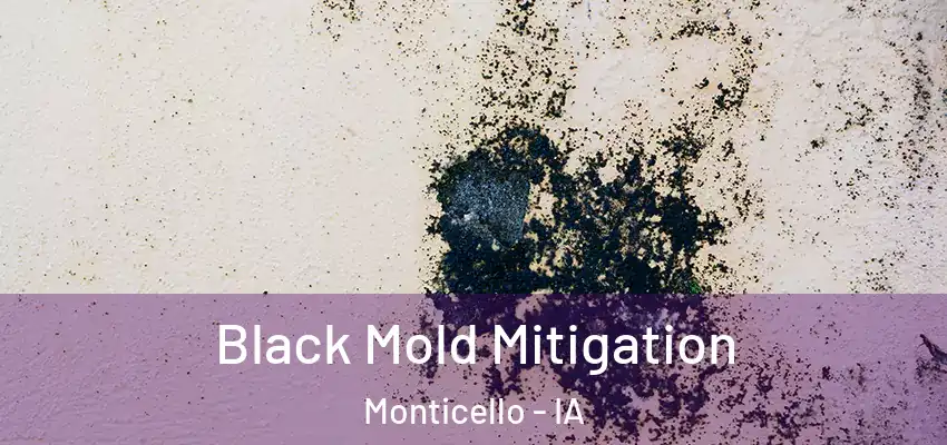 Black Mold Mitigation Monticello - IA