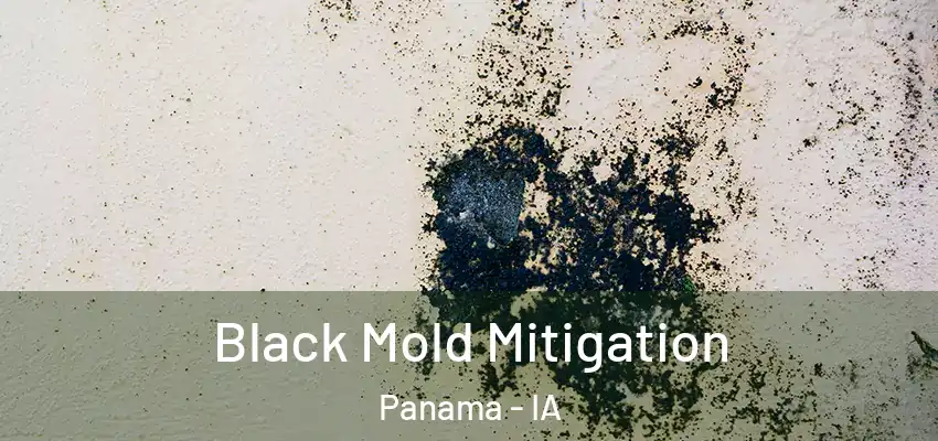  Black Mold Mitigation Panama - IA