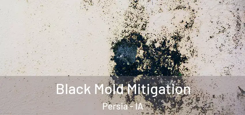  Black Mold Mitigation Persia - IA