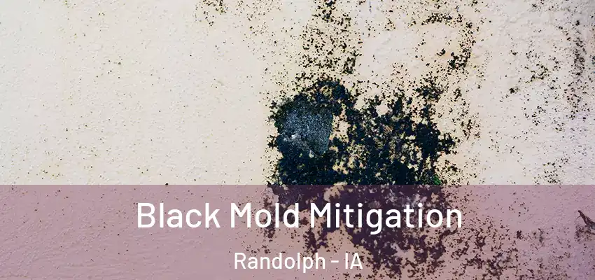  Black Mold Mitigation Randolph - IA