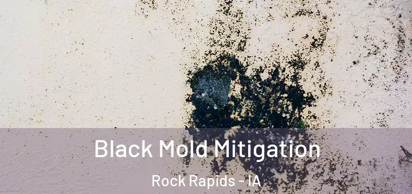 Black Mold Mitigation Rock Rapids - IA