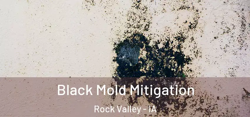 Black Mold Mitigation Rock Valley - IA