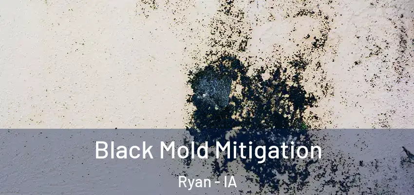  Black Mold Mitigation Ryan - IA