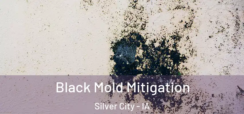 Black Mold Mitigation Silver City - IA