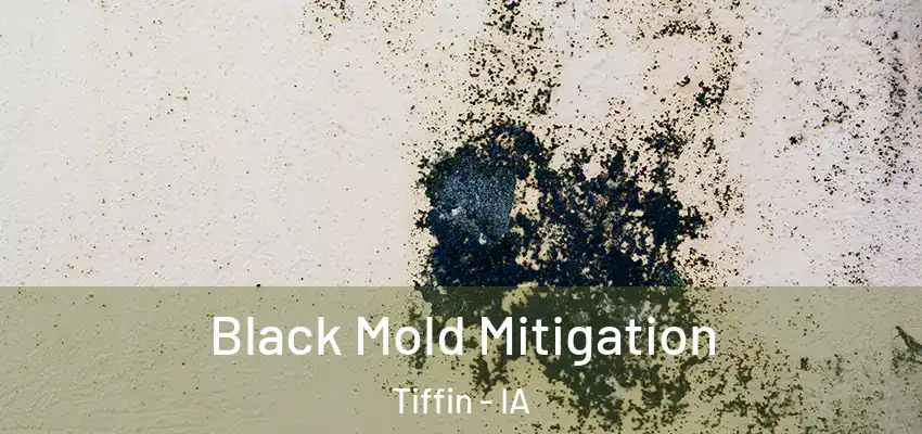  Black Mold Mitigation Tiffin - IA