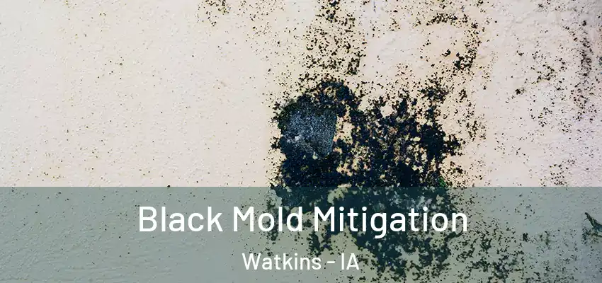  Black Mold Mitigation Watkins - IA