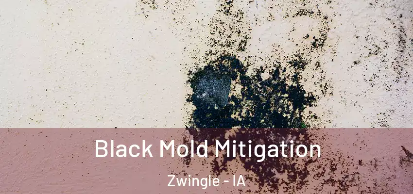  Black Mold Mitigation Zwingle - IA