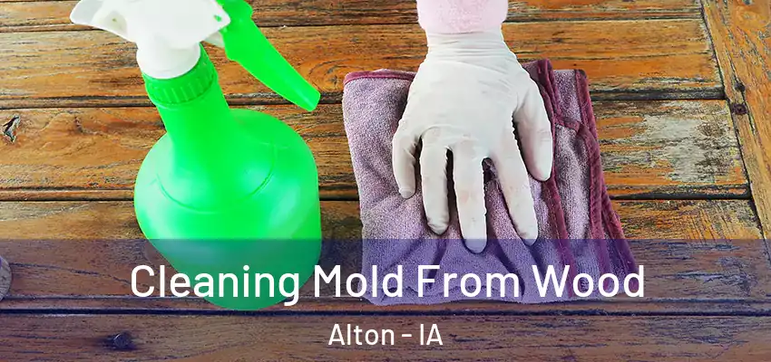 Cleaning Mold From Wood Alton - IA