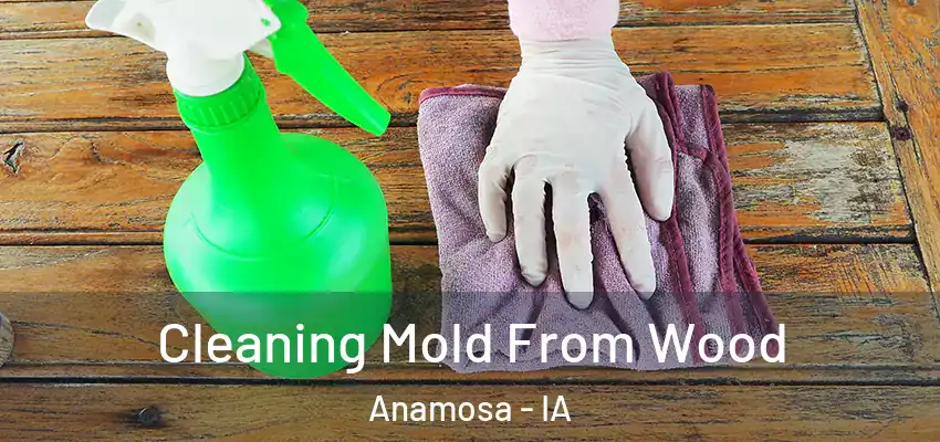  Cleaning Mold From Wood Anamosa - IA