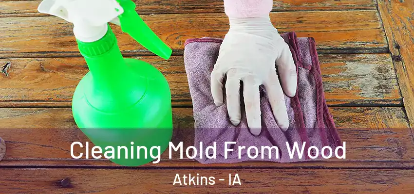 Cleaning Mold From Wood Atkins - IA