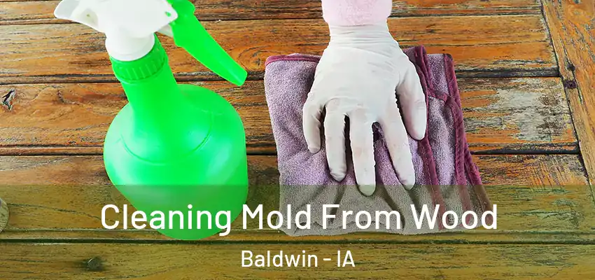 Cleaning Mold From Wood Baldwin - IA