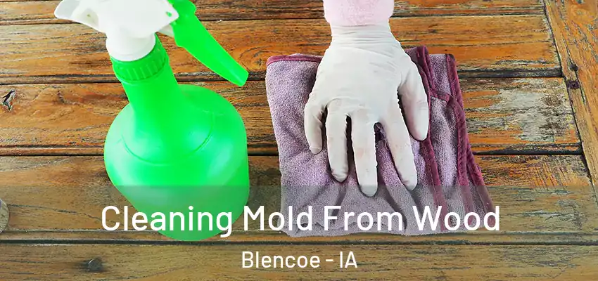Cleaning Mold From Wood Blencoe - IA